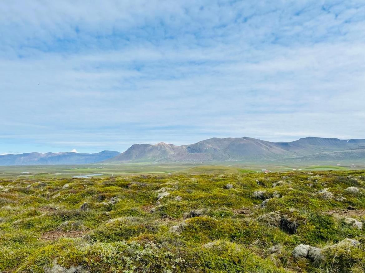 Syðri-Þverá Hvammstangi Exterior foto